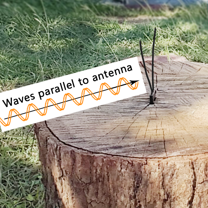 Waves-Paral-to-Antenna